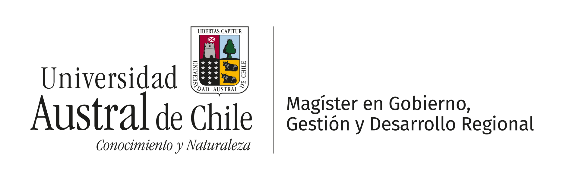 Magister Gobierno y Desarrollo Regional